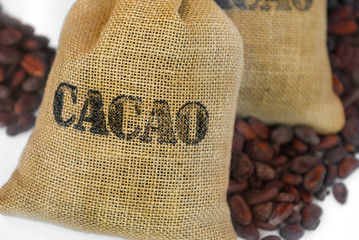 cacao beans in jut bag with inscription 