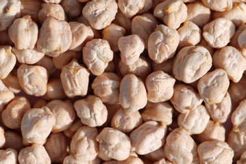 FONDO DE GARBANZOS EN MACRO