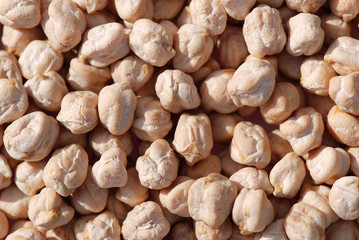 FONDO DE GARBANZOS EN MACRO.