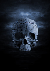 Obraz premium Dark skull