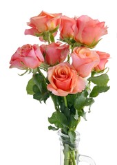 posy of pretty pink roses as Bithday gift