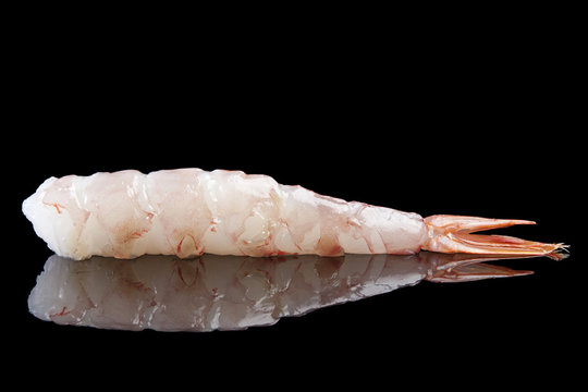 Raw Shrimp Tail Isolated