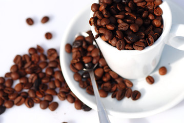 TAZA DE CAFÉ. AROMAS, AROMÁTICO