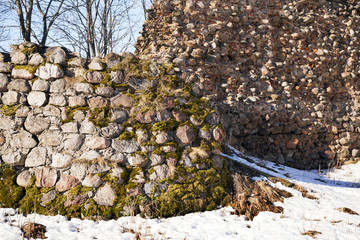 ruins of the fortress (Krevo)