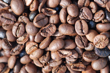 FONDO DE GRANOS DE CAFÉ. TEXTURAS Y FORMAS