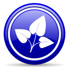 eco blue glossy icon on white background