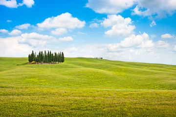 Foto auf Alu-Dibond Beautiful landscape in Tuscany, Italy © JFL Photography