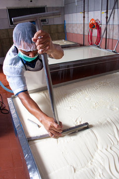 Cheese Factory Worker