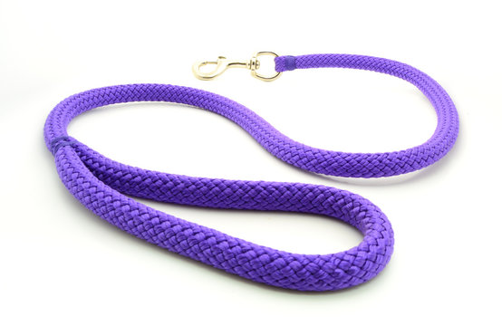 Soga violeta con mosquetón para sacar de paseo al perro.
