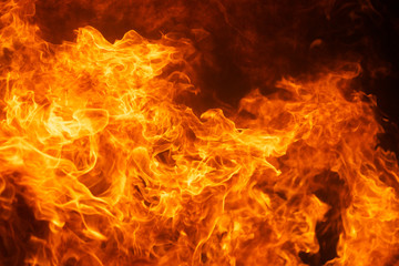 Fototapeta premium blaze fire flame background