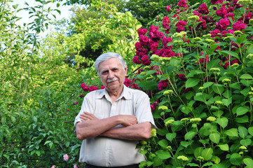 Old male gardener in the spring garden stands with folded arms