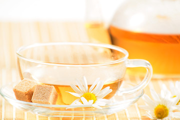 teacup with herbal chamomile tea