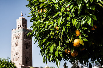 Morocco. Marrakech. Mosque of Koutoubia