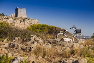 Bicycle Trip