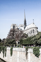 Fototapeta na wymiar Katedra Notre Dame de Paris, Francja, Europa