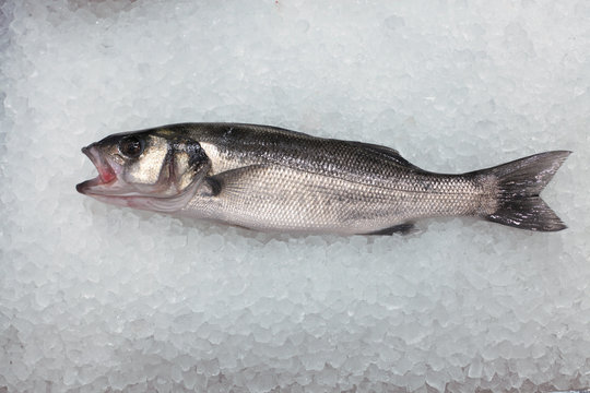 Bar de ligne - Poisson