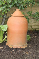 Obraz premium A Terracotta Pot for Force Growing Rhubard Plants.