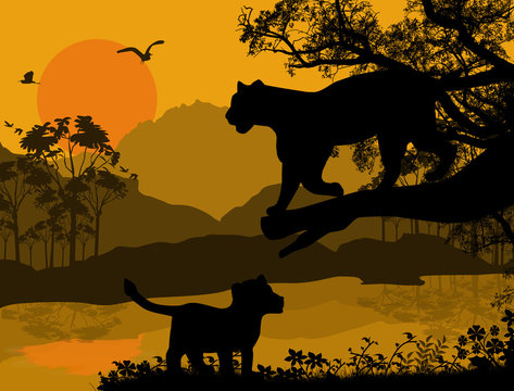 Silhouette view of panther on a tree
