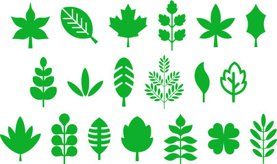 Set of vectorized leafs