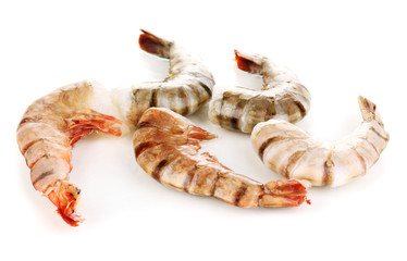 Prawns isolated on white