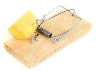 Mousetrap with cheese isolated on white