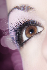 Fototapeta premium Beautiful Brown Eye