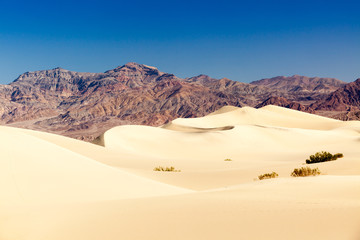Mesquite Flat Sand Dunes