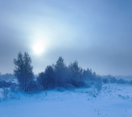 Winter landscape. Cold winter evening