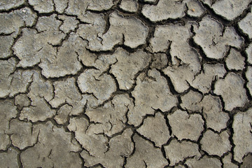 Mud cracks
