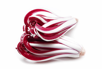 Radicchio tardivo rosso