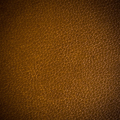 Leather texture with vigniette texture