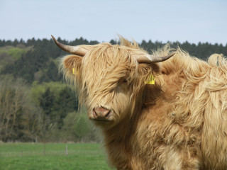 KONICA MINOLTA DIGITAL CAMERA