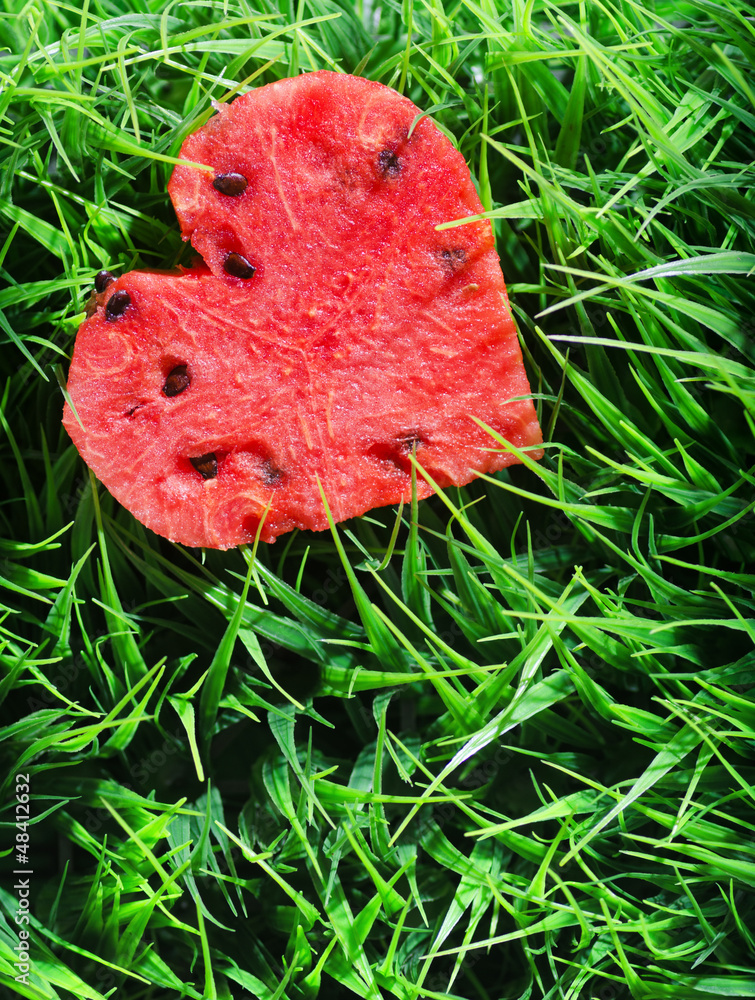 Wall mural Watermelon heart on green grass. Valentine concept