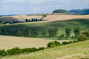 Fototapeta premium Beautiful Moravian countryside during the sunny day.