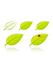 Vector set of green leaves, eco concept