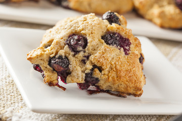 Fresh Homemade Blueberry Breakfast Scones