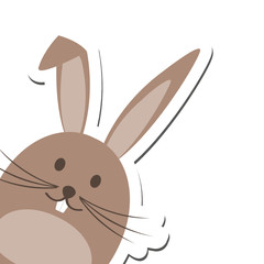 Fototapeta premium Brauner Hase guckt von der Seite