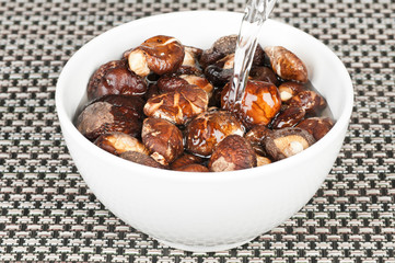 Dried mushroom in water