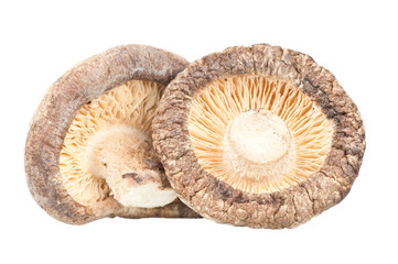Dried mushrooms over a white background