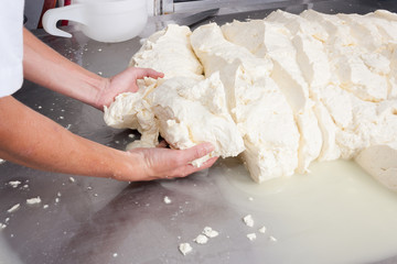 Worker processing fresh cheese