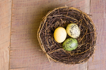 Obraz premium Birds nest with three eggs