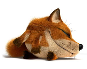 Sleep fox - obrazy, fototapety, plakaty