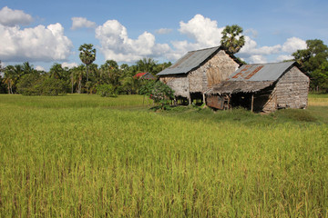 Plakat Kambodżańska wieś