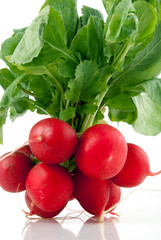 Radishes