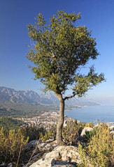 Fototapeta na wymiar Widok gór miasta Kemer, Antalya, Turcja