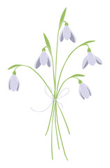 snowdrops