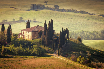 Tuscany - Italy - 48429646