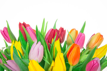 Tulips background