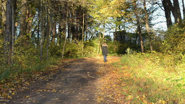 pretty woman walk up hill autumn park road tree leaves sunlight