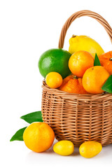fresh citrus fruit in the basket with green leaf isolated on
